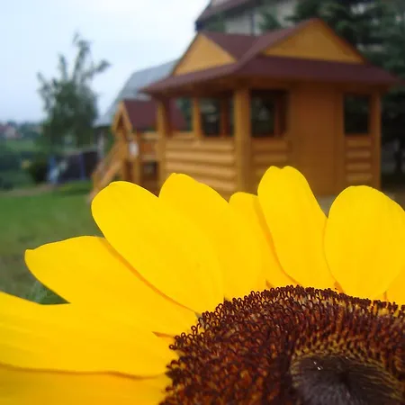 Δωμάτια σε οικογενειακή κατοικία I Pod Limbami - Sauna, Teznia *
