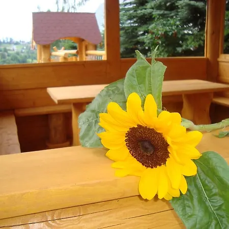 Homestay Apartamenty I Pokoje Pod Limbami - Sauna, Teznia Bukowina Tatrzanska